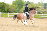 SBM_006450