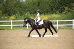 SBM_008731