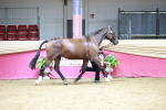 SBM_06624