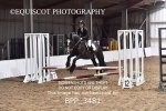 BPP_3481