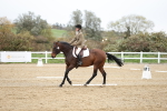 SBM_004514