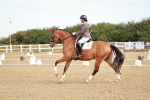 SBM_008620
