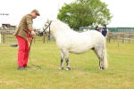 SBM_04390