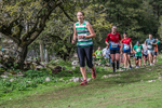 Dovedale-1291