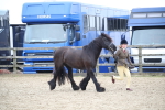 SBM_007291