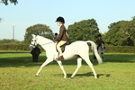 SBM_59206