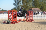 SBM_34344
