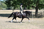 WJ7_3713