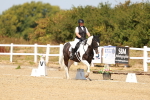 SBM_018272
