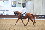 SBM_021726