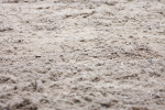 SBM_001755