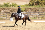 SBM_001716
