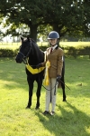S44 - Part Bred Pony In hand portfolio