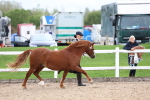 SBM_05852