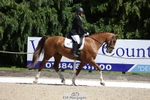 Cls 1 Prelim Bronze 13.30 to 14.50 break portfolio