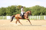 SBM_002805
