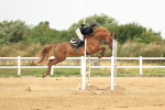 SBM_003009