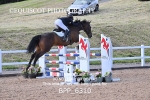 BPP_6310
