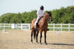 SBM_010335