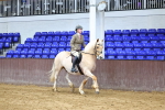 SBM_003675