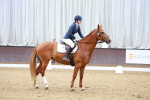 SBM_000736