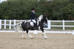 SBM_002203