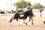SBM_09294