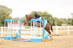 SBM_023953