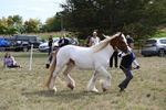 WJ6_6576