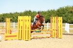 SBM_005989