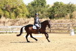 SBM_001377
