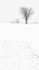 WINTER FARMSCAPE - NORFOLK COUNTY