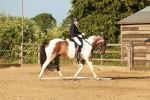 SBM_000504