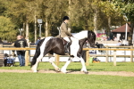 SBM_26337