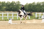 SBM_001056