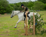 Dunblane show-371