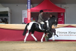 SBM_02921
