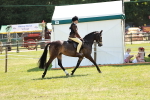 SBM_15775