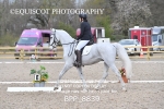 NOVICE 6 portfolio