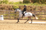 SBM_000445