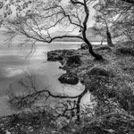 Reflections on Derwentwater - 02