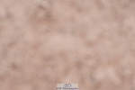 240505A-091538-04128