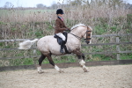 SBM_007180