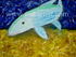 Underwater Swimming Bonefish.