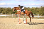 SBM_003463