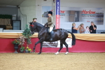 SBM_06290