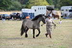 WJ6_4129