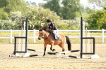 SBM_006428