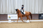 SBM_003900