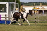 SBM_17818